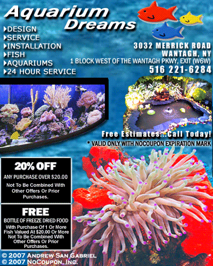 dream aquarium launch tour